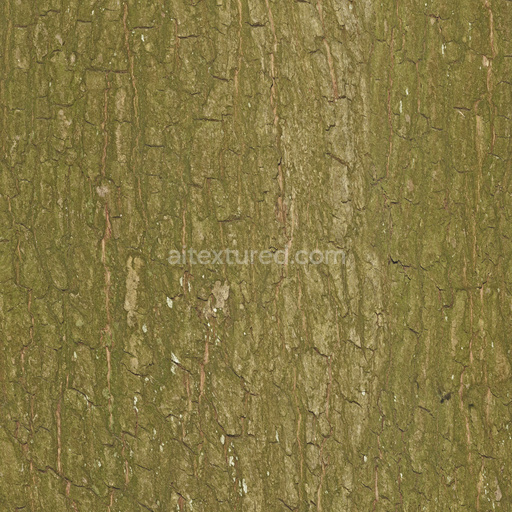 Seamless Bark 008 by Textures – PBR 3D Texture (8K ready)