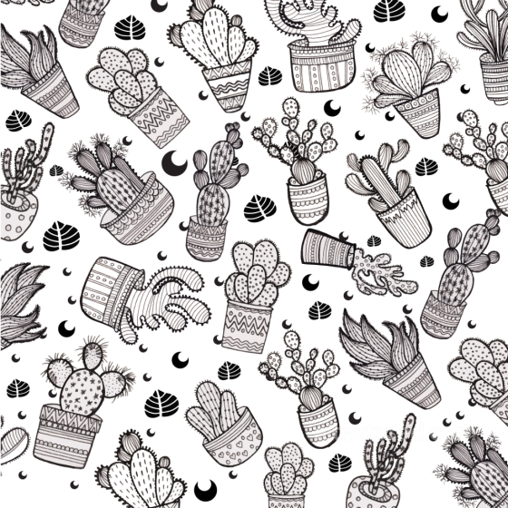 Featuring Black and White Illustrated Cactus Pattern White & Black texture preview