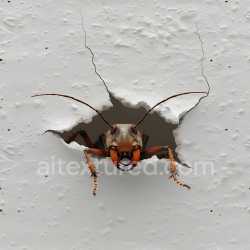 seamless Seamless 3D Cracked Plaster PBR Texture Featuring Jagged Holes and Detailed Fractures texture 8k free download PBR