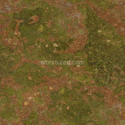 Ground Moss Earth Natural Organic Texture Green