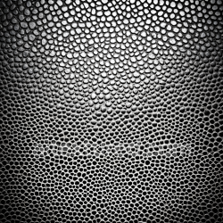 seamless Seamless 3D Reptilian Skin PBR Texture Featuring Detailed Scaled Pattern texture 8k free download PBR