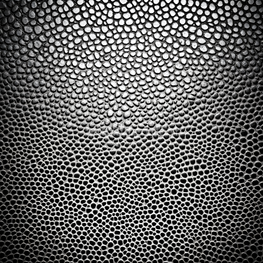 Seamless 3D Reptilian Skin PBR Texture Featuring Detailed Scaled Pattern