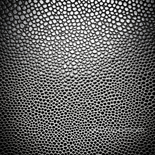 Reptilian Skin PBR Texture Featuring Detailed Scaled Pattern seamless Skin PBR texture