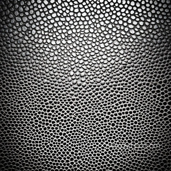 Reptilian Skin PBR Texture Featuring Detailed Scaled Pattern Skin texture preview