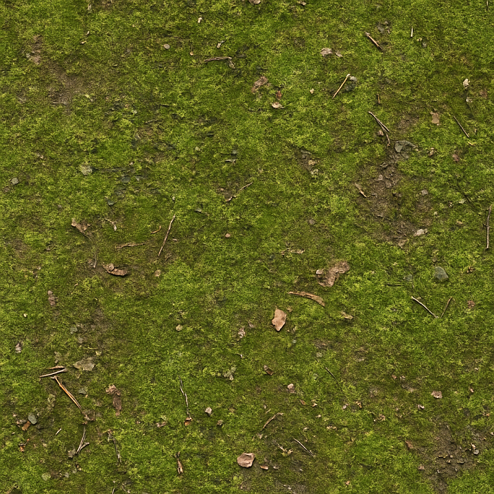 Dirty Forest Moss seamless PBR texture preview