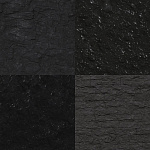 Coal