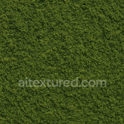 seamless Coarse Green Moss Texture Seamless 1024X1024 texture 1024x1024 free download PBR