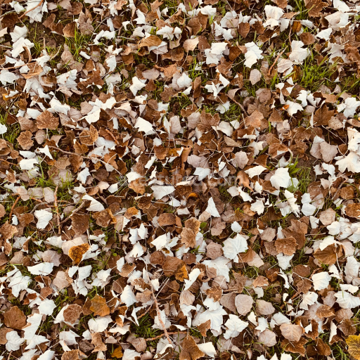Preview — Dry Autumn Leaves on Ground PBR Texture with Grass Details