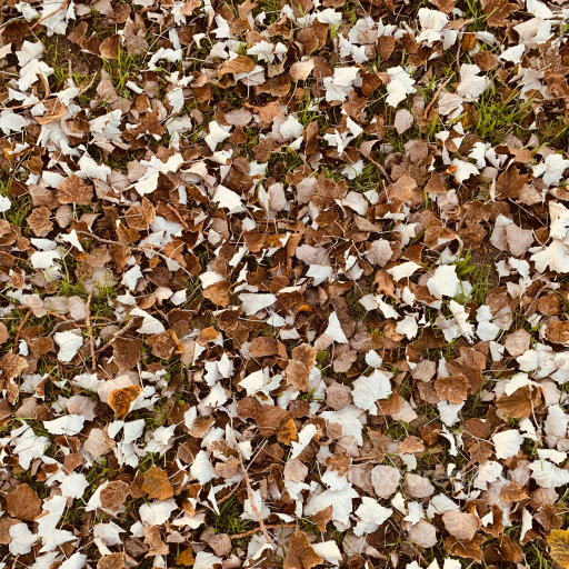 Dry Autumn Leaves on Ground PBR Texture with Grass Details seamless Foliage PBR texture