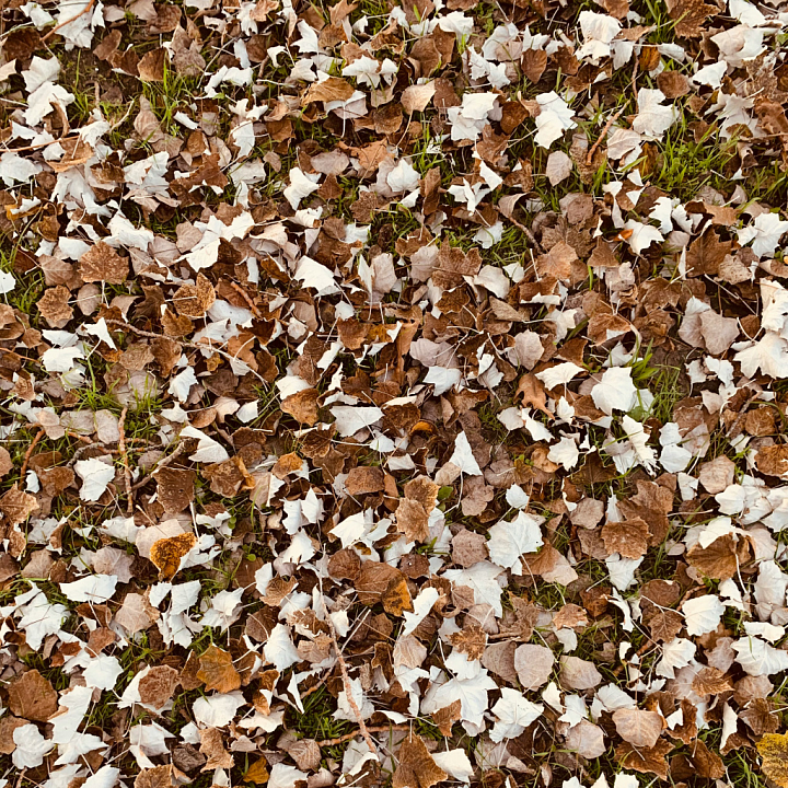 Dry Autumn Leaves on Ground with Grass Details seamless PBR texture preview