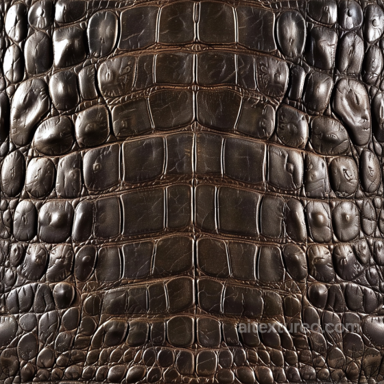 Crocodile Leather PBR Texture with Dark Brown Glossy Scales Leather texture preview