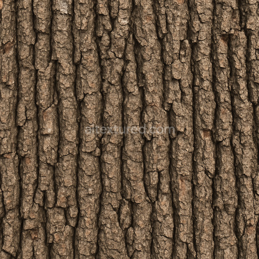 Rough Oak Bark Texture Seamless 1024X1024
