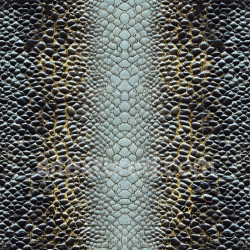 seamless Seamless 3D Skin PBR Texture Featuring Deep Pores and Organic Dermal Patterns texture 8k free download PBR