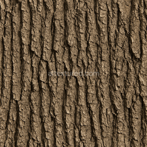 Weathered Oak Bark Texture Seamless 1024X1024