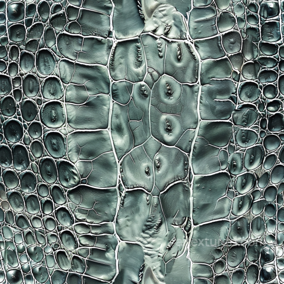 Crocodile Leather PBR Texture with Glossy Finish and Detailed Grain Leather texture preview