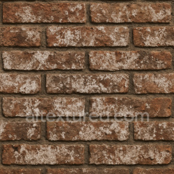 seamless Aged Bricks With Efflorescence texture 1024x1024 free download PBR