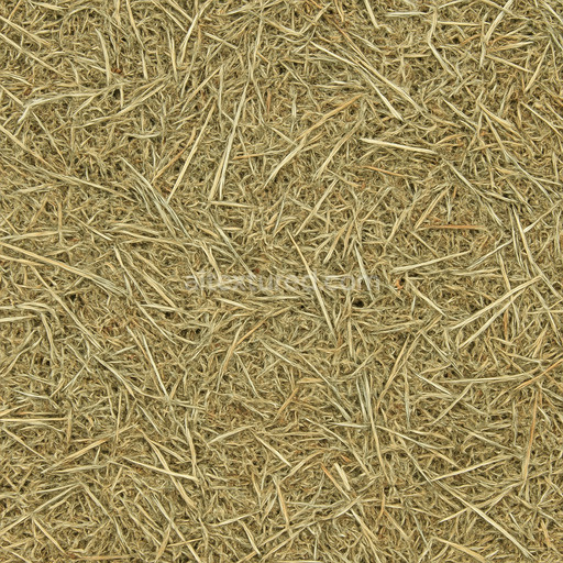 Loose Hay Seamless Texture