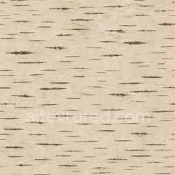 seamless Natural Birch Texture Seamless texture 8k free download PBR