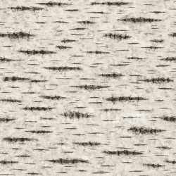 seamless Patterned Birch Bark Texture Seamless texture 8k free download PBR