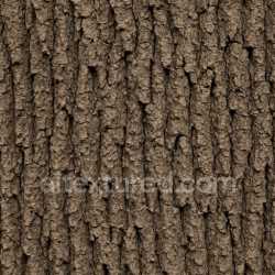seamless Matte Oak Bark Texture Seamless texture 8k free download PBR