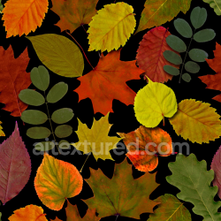 seamless Seamless 3D PBR Texture of Multi-Species Autumn Leaves on Black Background texture 8k free download PBR