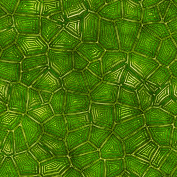 Stylized Abstract Archviz Organic seamless PBR texture preview