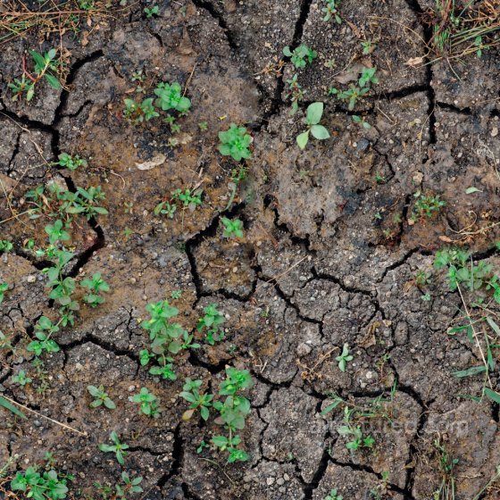 High-Quality Seamless Dirt PBR Texture Ground surface texture preview
