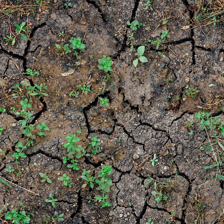 High-Quality Dirt seamless PBR texture preview