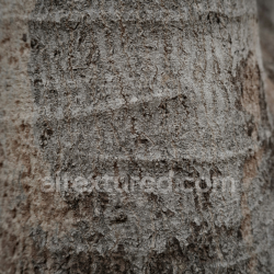 seamless Rough Natural Stone Texture with Irregular Patterns and Earthy Tones texture 8k free download PBR