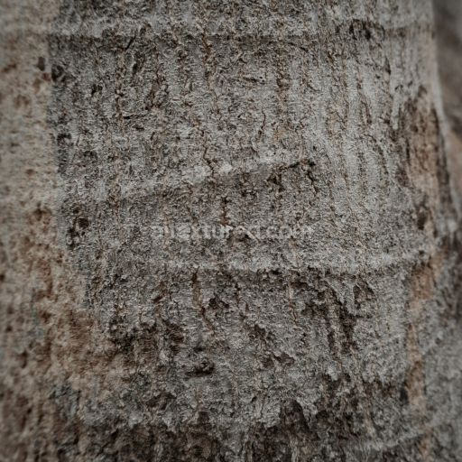 Rough Natural Stone Texture with Irregular Patterns and Earthy Tones