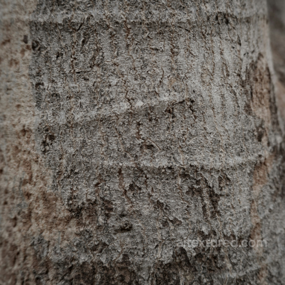 Rough Natural Stone Texture with Irregular Patterns and Earthy Tones Stone texture preview