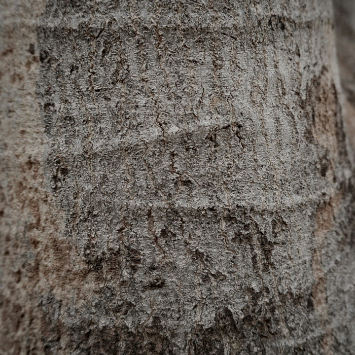 Rough Natural Stone with Irregular Patterns and Earthy Tones seamless PBR texture preview