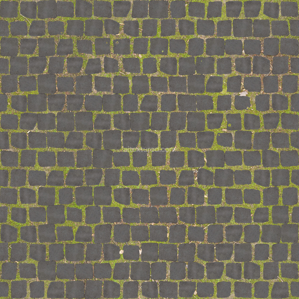 Seamless paving stones texture with natural grass detail