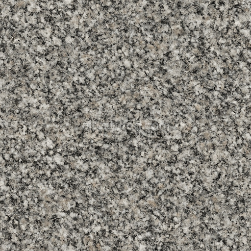 Coarse Granite Seamless Texture