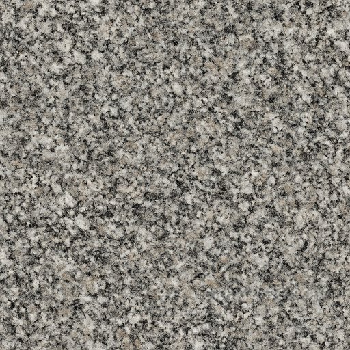 Coarse Granite Seamless Texture seamless Granite PBR texture