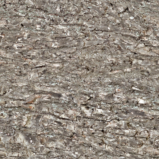 Seamless Bark 6 by Share Textures – PBR 3D Texture (8K ready)