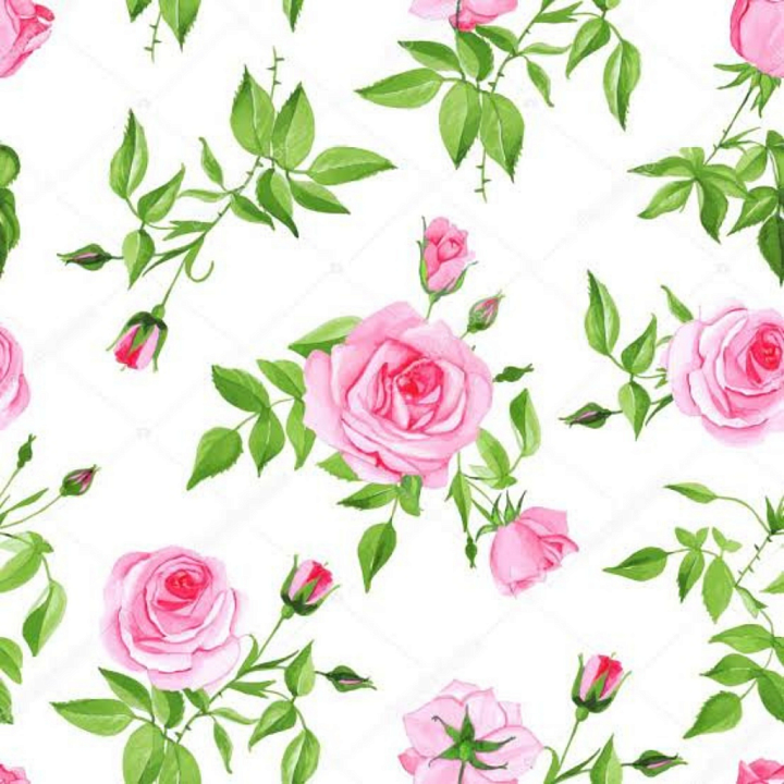 Pink Flower of Pink Rose Flowers with Green Leaves on White Background seamless PBR texture preview