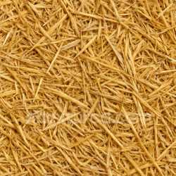 seamless Fresh Straw Seamless Texture texture 8k free download PBR