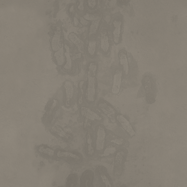 Regolith Dusted Footprints - Dusted Footprints Path Lunar Outdoor Sand seamless PBR texture preview