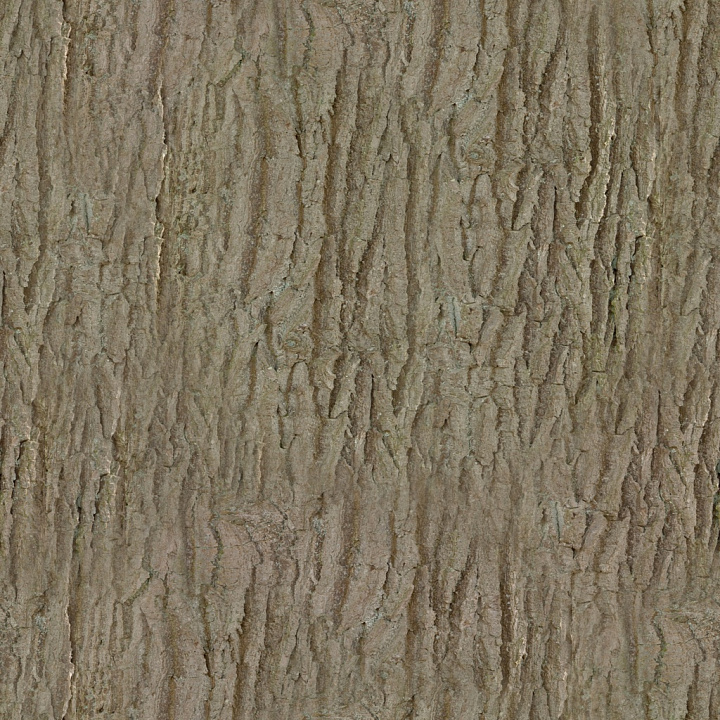 Bark 002 By Textures seamless PBR texture preview