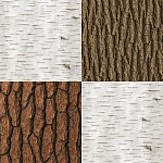 Free Bark texture 1024x1024 download