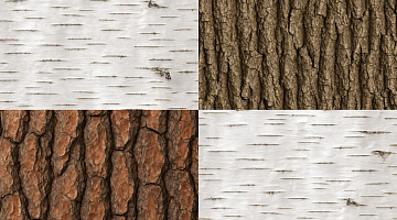 Bark category preview
