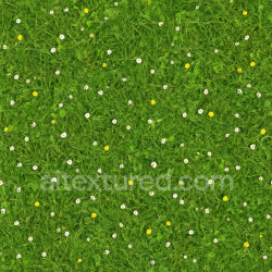 seamless Photorealistic Meadow Texture texture 1024x1024 free download PBR