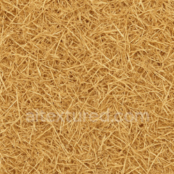 seamless Compact Hay Seamless Texture texture 1024x1024 free download PBR