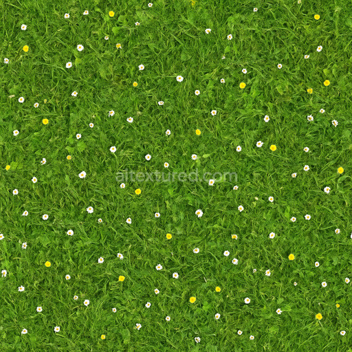 Photorealistic Meadow Texture