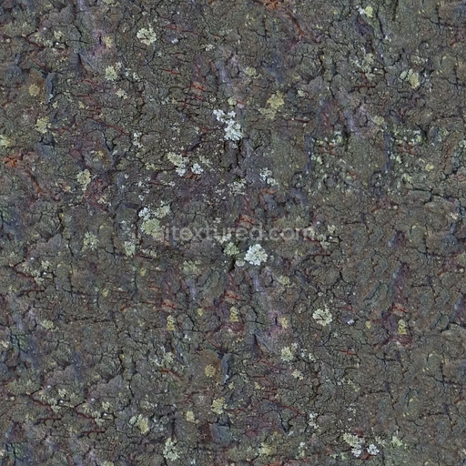 Seamless Bark 13 by Share Textures – PBR 3D Texture (8K ready)