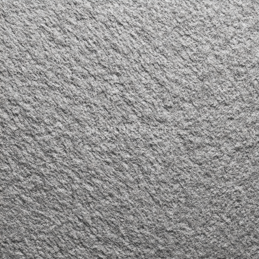 Seamless 3D Felt PBR Texture Featuring Soft Gray Wool Fibers and Dense Matted Surface