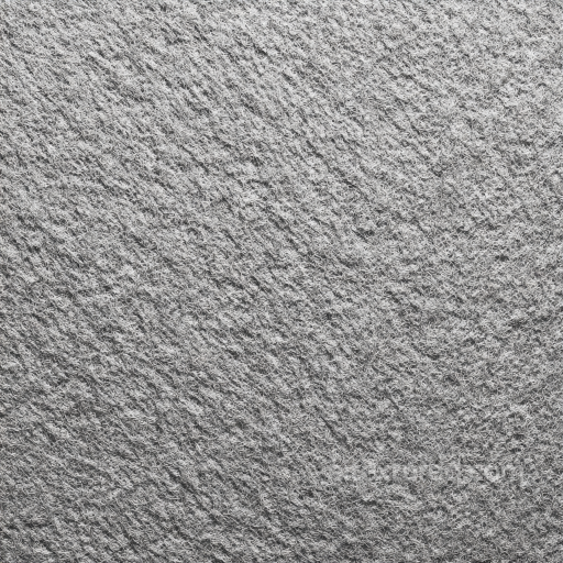 Felt PBR Texture Featuring Soft Gray Wool Fibers and Dense Matted Surface seamless Felt PBR texture