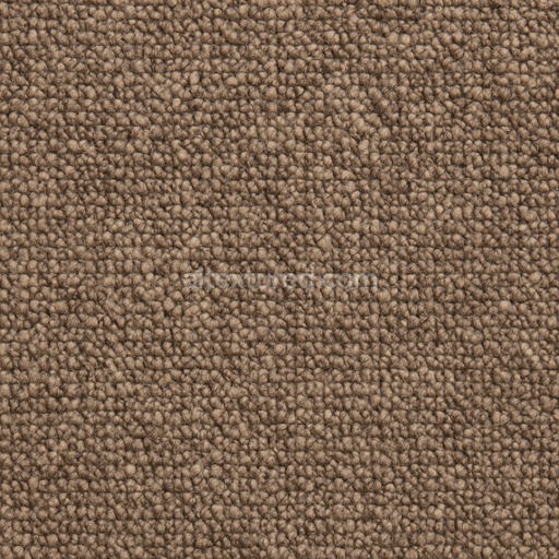 Coarse Patterned Carpet Texture Seamless 1024X1024