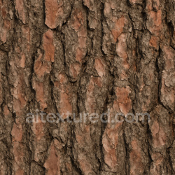 seamless Dirty Pine Bark Texture Seamless 1024X1024 texture 1024x1024 free download PBR
